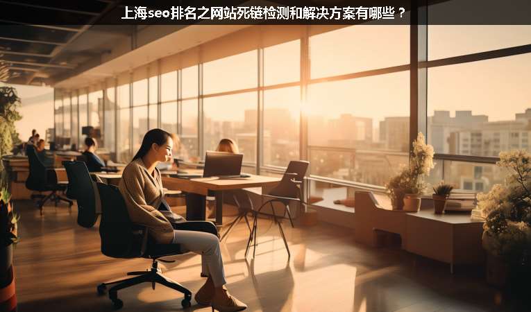 上海seo排名之網(wǎng)站死鏈檢測和解決方案有哪些？