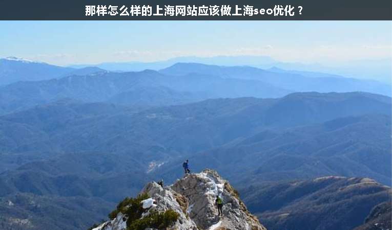 那樣怎么樣的上海網(wǎng)站應(yīng)該做上海seo優(yōu)化？