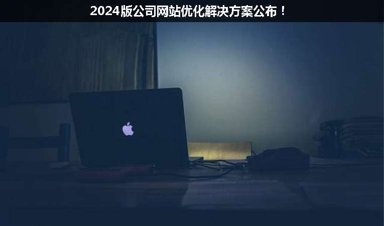 2024版公司網(wǎng)站優(yōu)化解決方案公布！