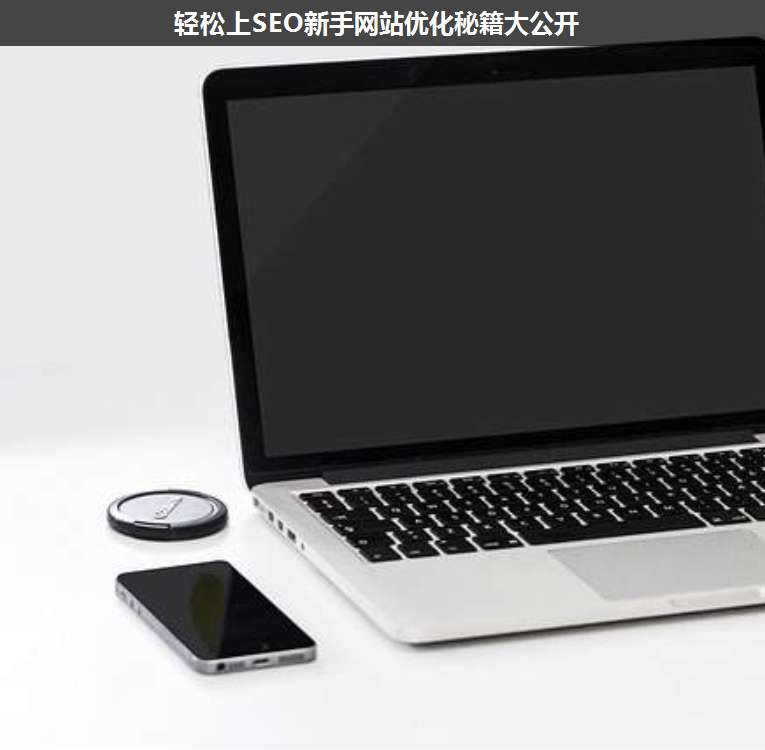 輕松上SEO新手網(wǎng)站優(yōu)化秘籍大公開