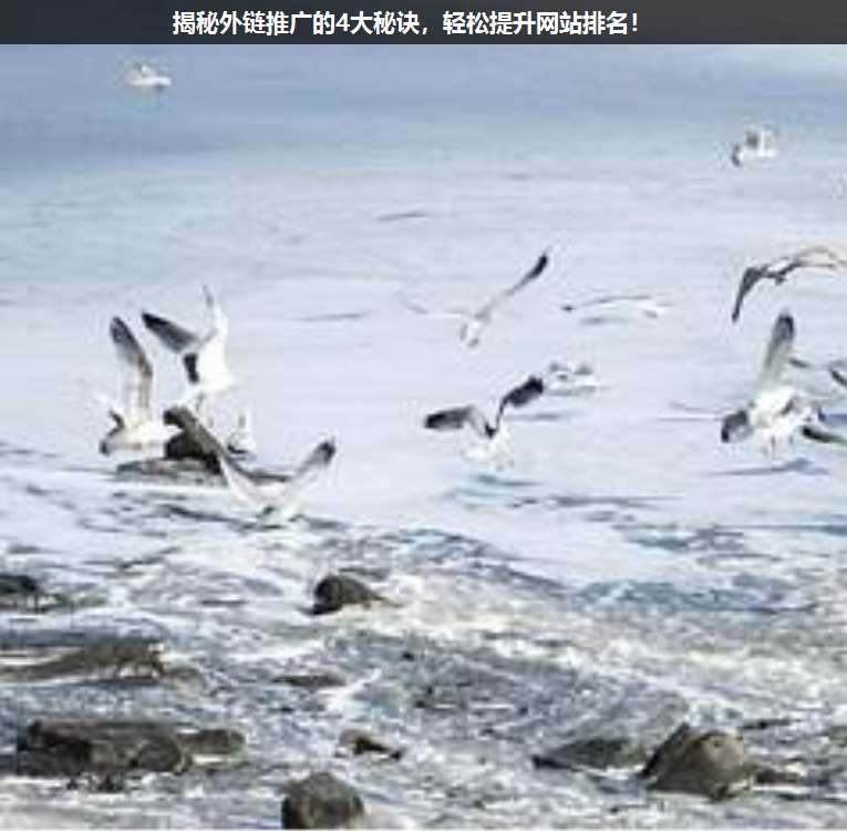 揭秘外鏈推廣的4大秘訣,輕松提升網(wǎng)站排名!