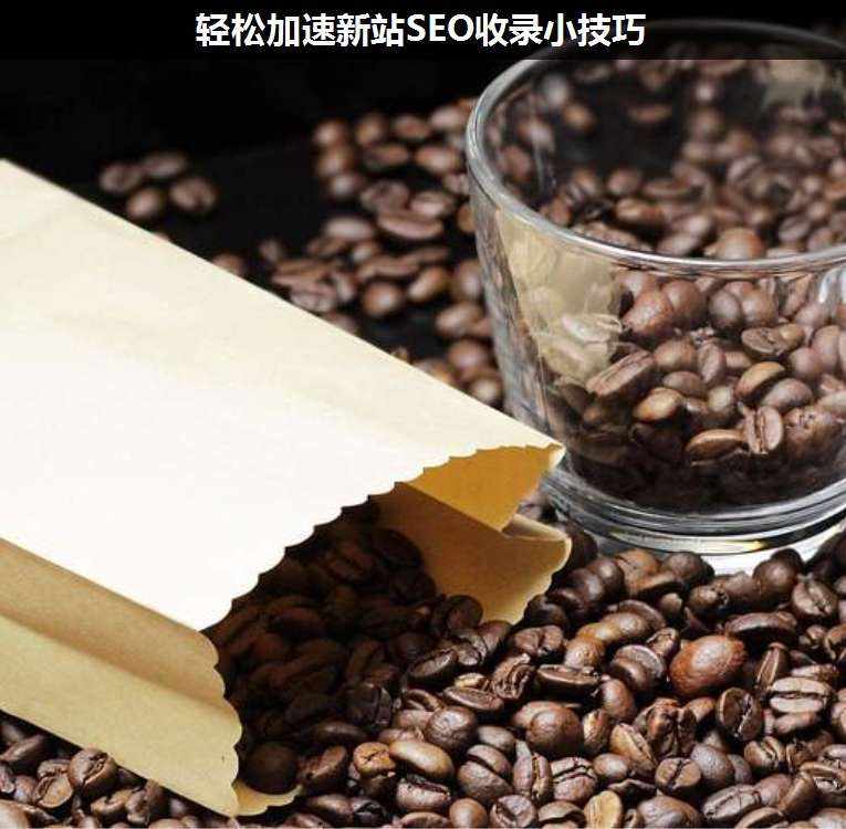 輕松加速新站SEO收錄小技巧