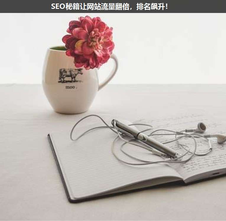 SEO秘籍讓網(wǎng)站流量翻倍，排名飆升！