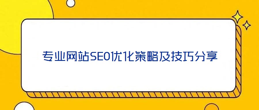 專(zhuān)業(yè)網(wǎng)站SEO優(yōu)化策略及技巧分享