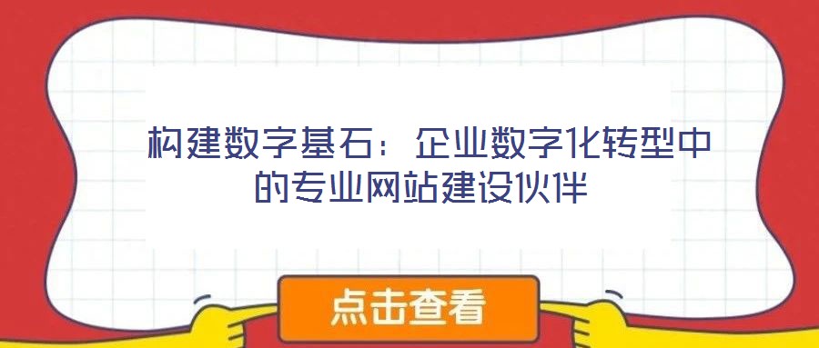 構(gòu)建數(shù)字基石:企業(yè)數(shù)字化轉(zhuǎn)型中的專業(yè)網(wǎng)站建設(shè)伙伴