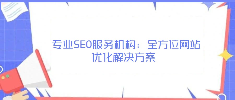 專業(yè)SEO服務(wù)機(jī)構(gòu):全方位網(wǎng)站優(yōu)化解決方案